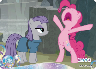 Pinkie Pie & Maud Pie (HR) HY08-HR-011 L3