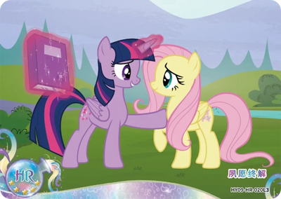 Twilight Sparkle & Fluttershy (HR) HY09-HR-020 L3