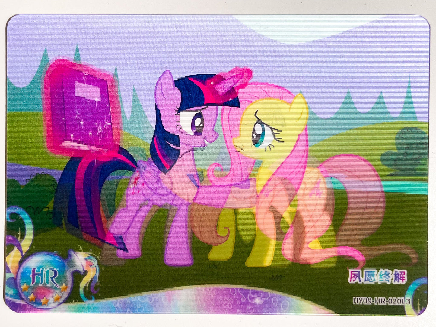 Twilight Sparkle & Fluttershy (HR) HY09-HR-020 L3